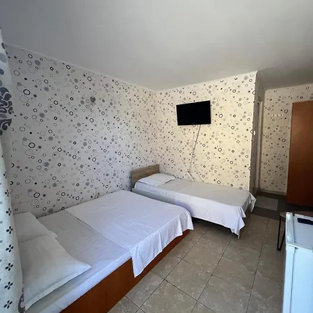 Casa Flaviu Πανσιόν