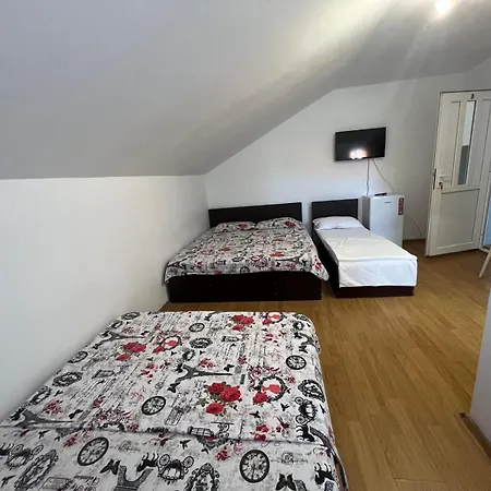 Casa Flaviu *